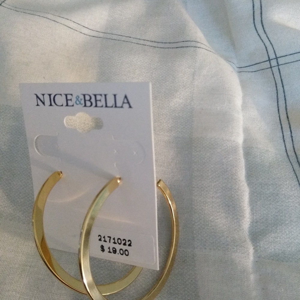 Earrings